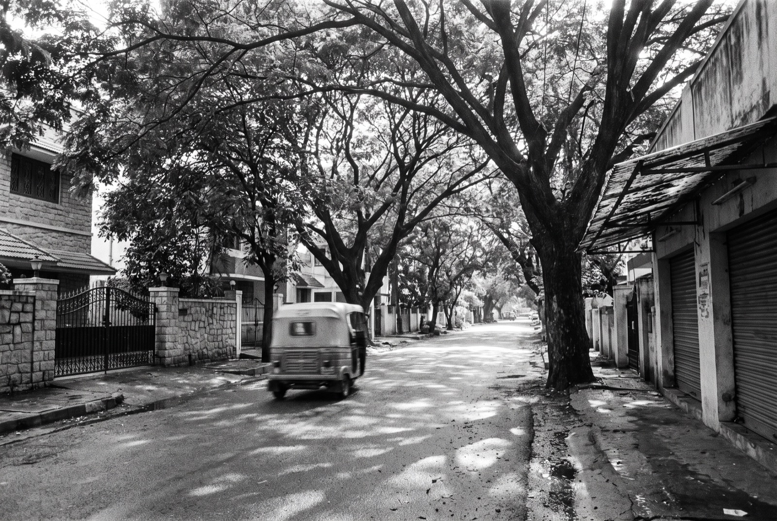 Tree-lined street in Indiranagar, Bengaluru